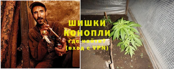 гашик Надым