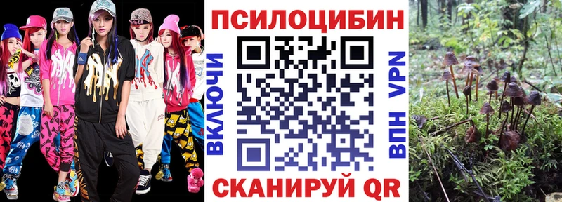 Галлюциногенные грибы Psilocybe где купить наркоту Ковров