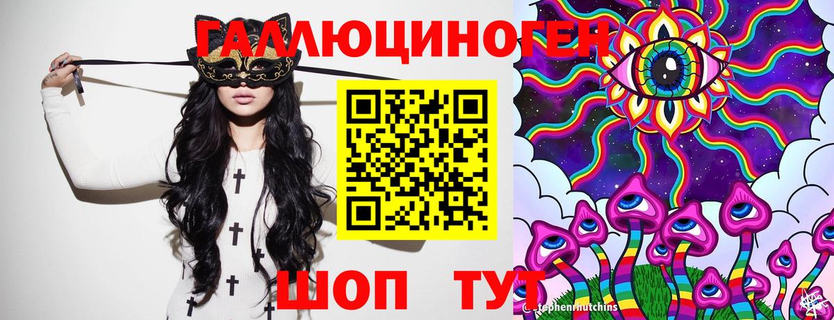 Бошки Шишки  Вход с VPN  Ковров  ГАШ  Меф  