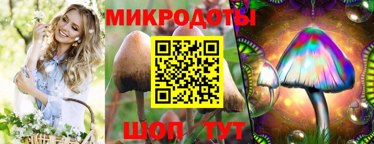 Галлюциногенные грибы мухоморы Ковров