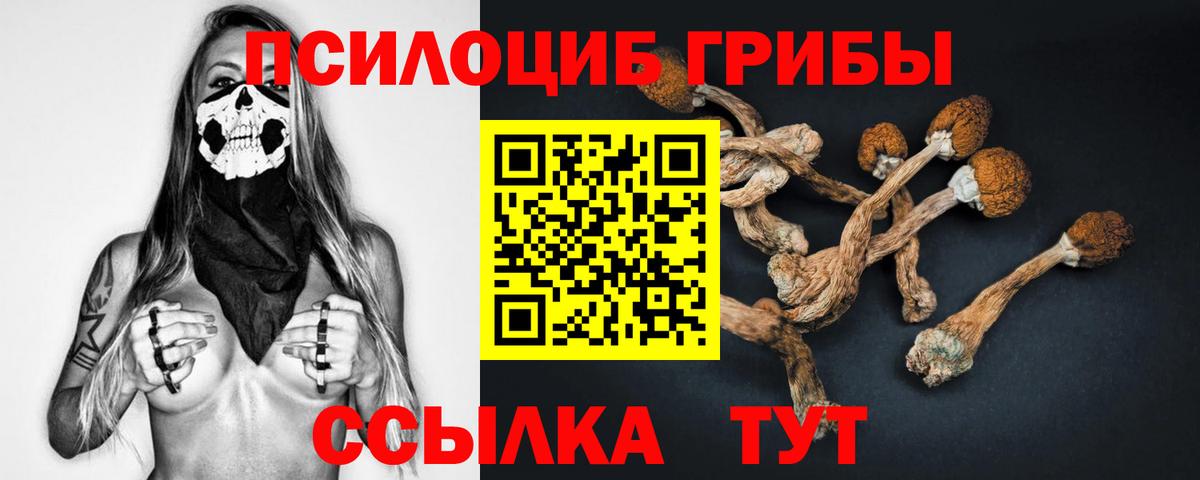Ковров  Галлюциногенные грибы мухоморы  продажа наркотиков  Вход с VPN  Галлюциногенные грибы Psilocybe 